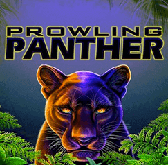 prowling panther casino