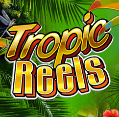 tropic reels slot