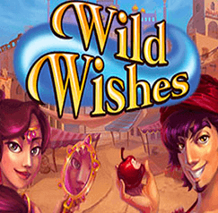 wild wishes slot