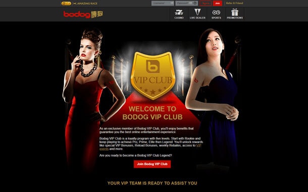 Bodog88 VIP