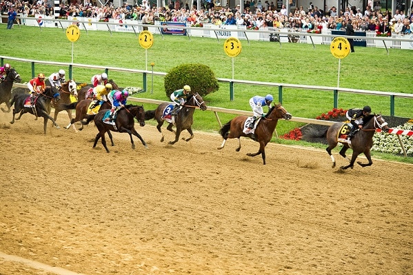 Preakness Stakes 16 Odds Post Positions And More