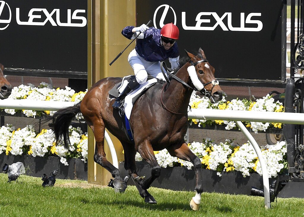 Australia Melbourne Cup Horse Racing