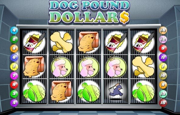 dog pound dollars