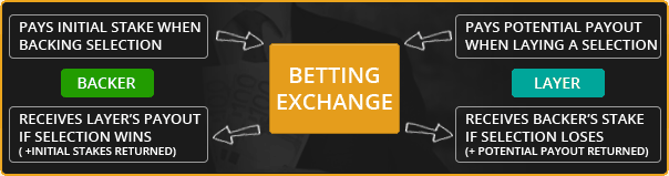 The Bitcoin Sportsbook Review – Wagering with Cryptocurrency